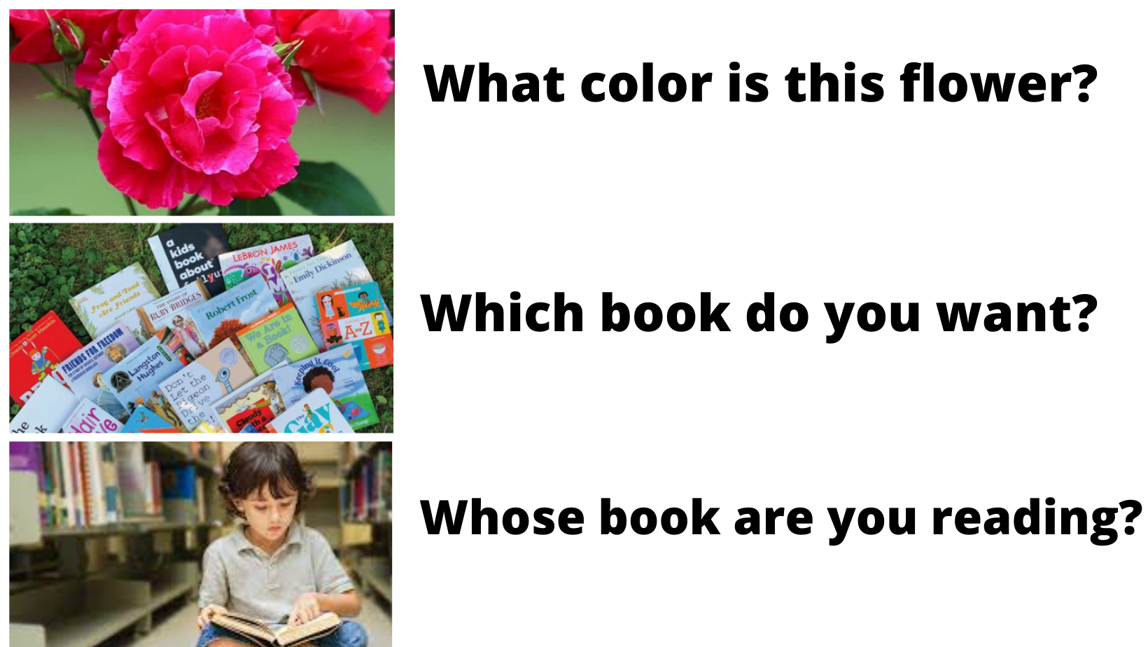 What is an Adjective? Different Types of Adjectives with Examples