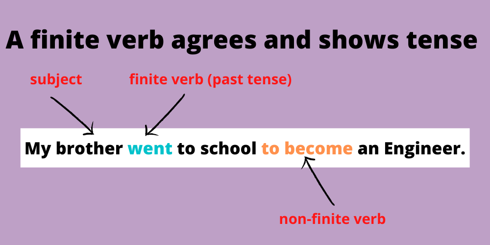 A finite verb agrees and shows tense