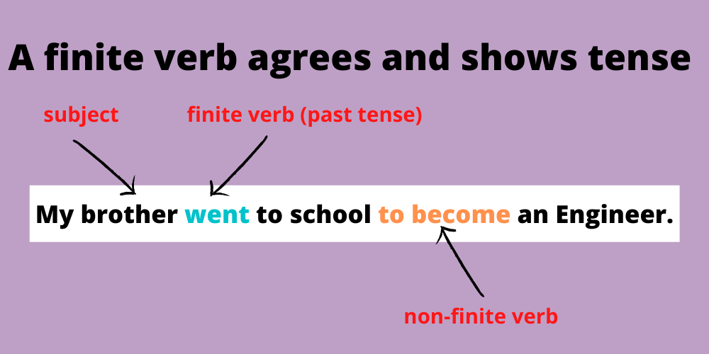 Finite Verbs: Explanation and Examples